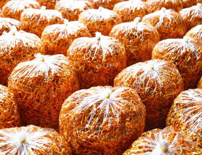 蟲草花發(fā)貨倉(cāng)庫(kù)